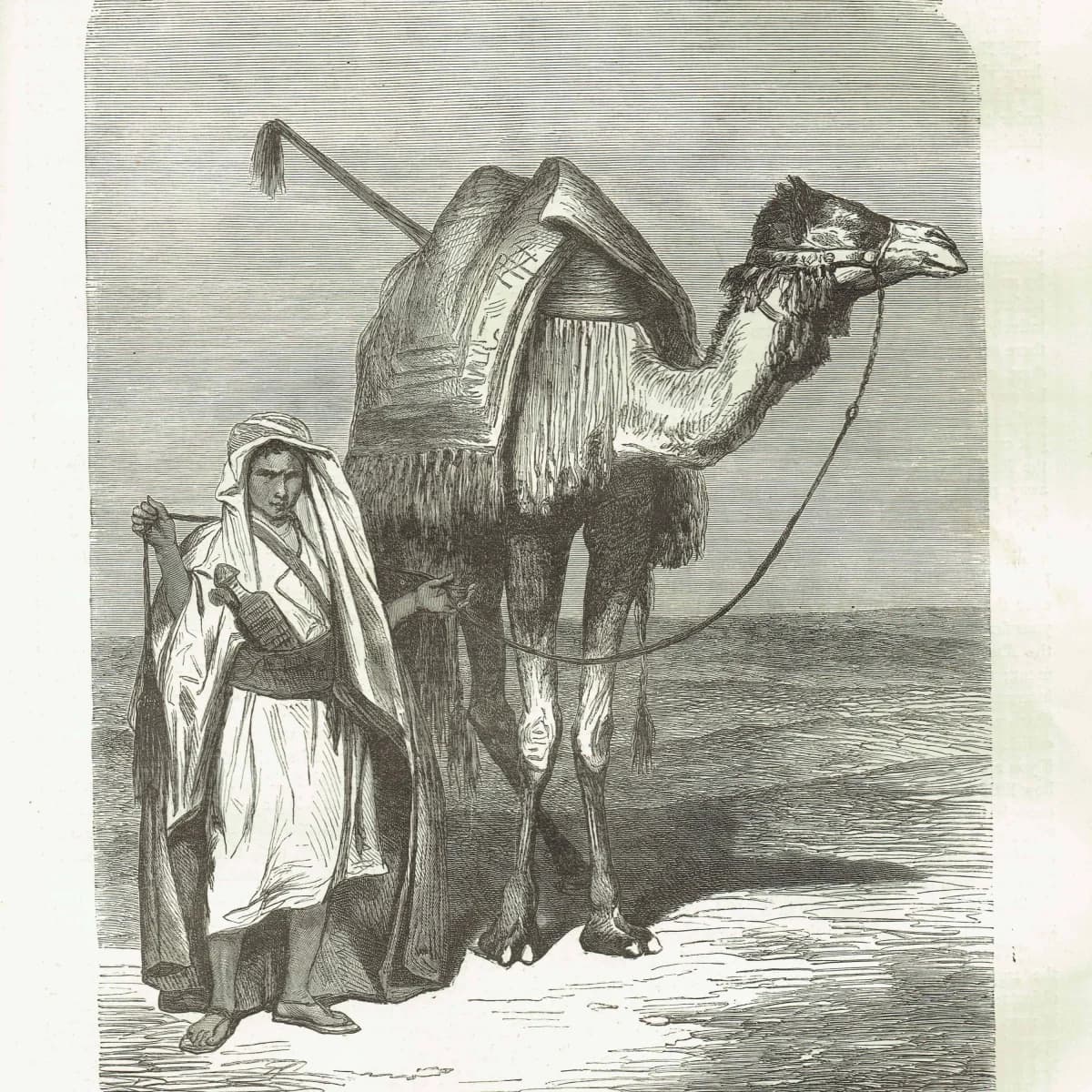 1871 Camel Driver - Antique Engraving - Illustrated Travels Middle East Desert Portrait - 8 x 11.5 in