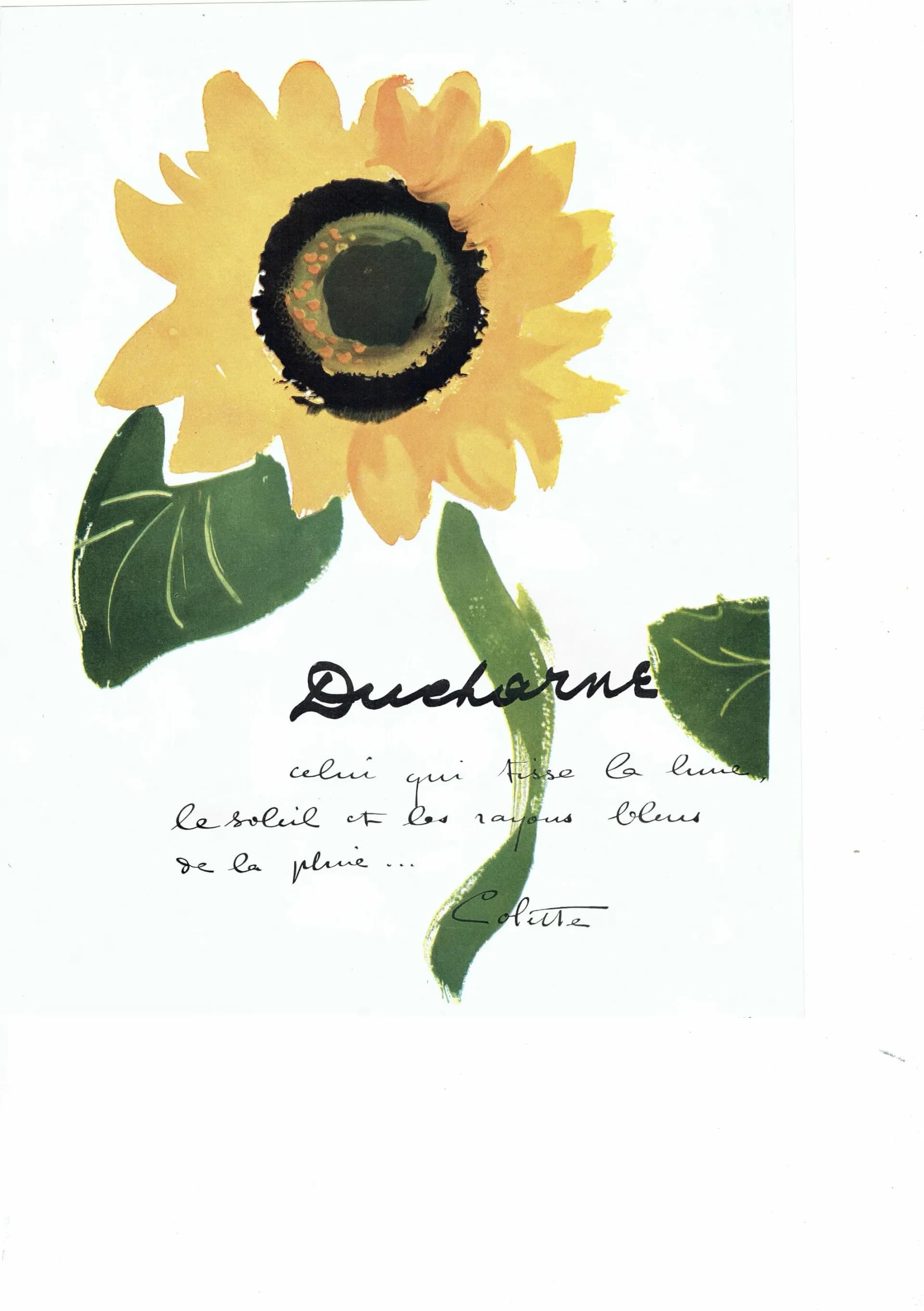 1947 Ducharne Sunflower & Cartier Centenary - Original Vintage Print - French Luxury Fashion Advertising Soleils Folio - 10.25 x 14.5 in