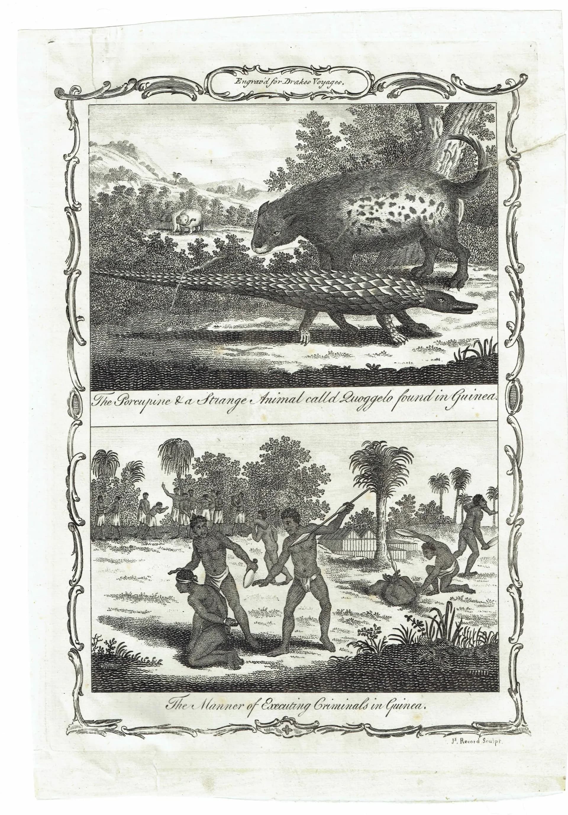 c.1790 Porcupine & Strange Animal called Quoggelo - Execution of Criminals - Guinea 11.75 x 8.25