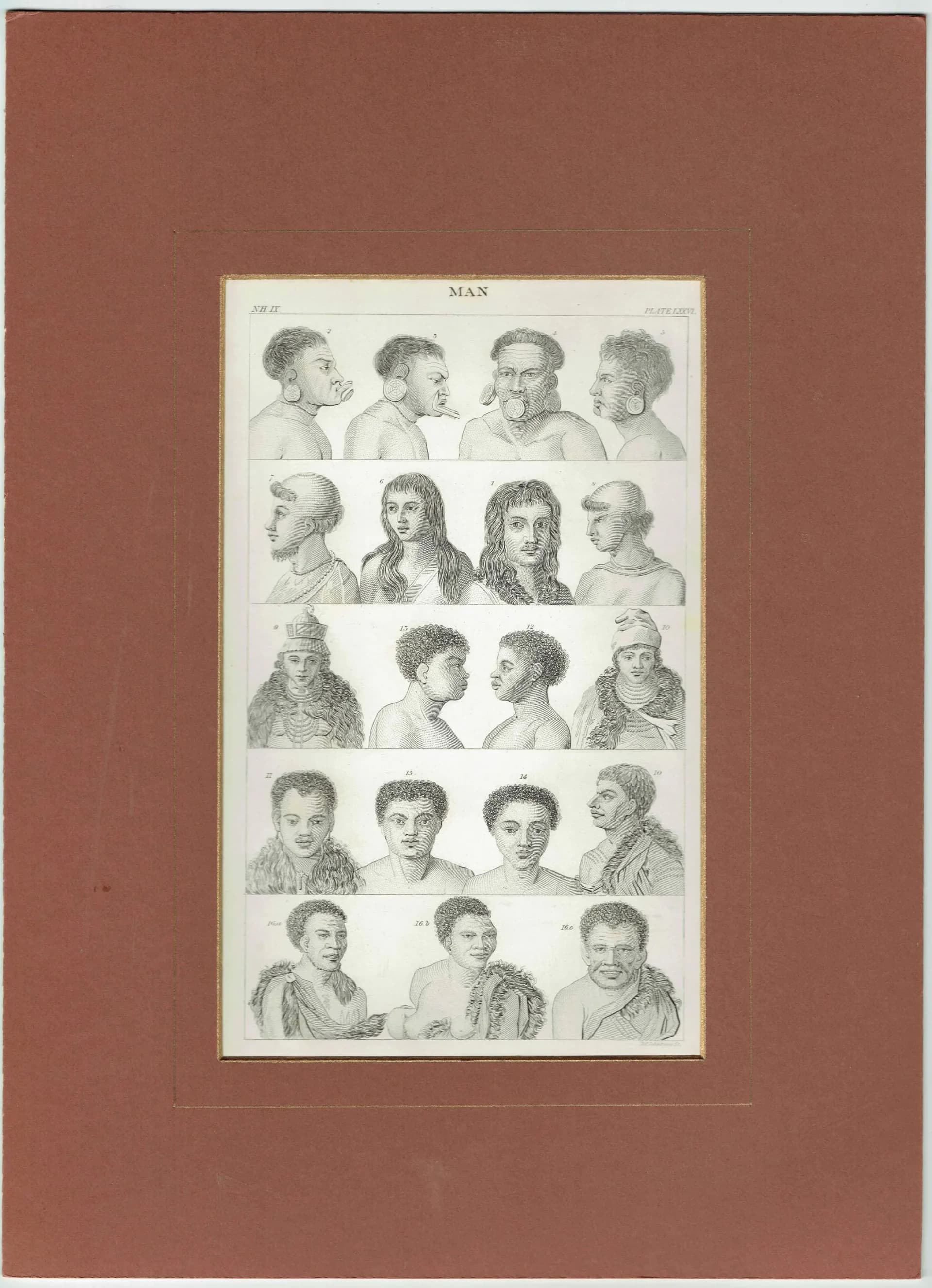 c.1850 Man Heads Print - Black & White - Male Head Engravings - Head Studies - 10 x 6.5 in