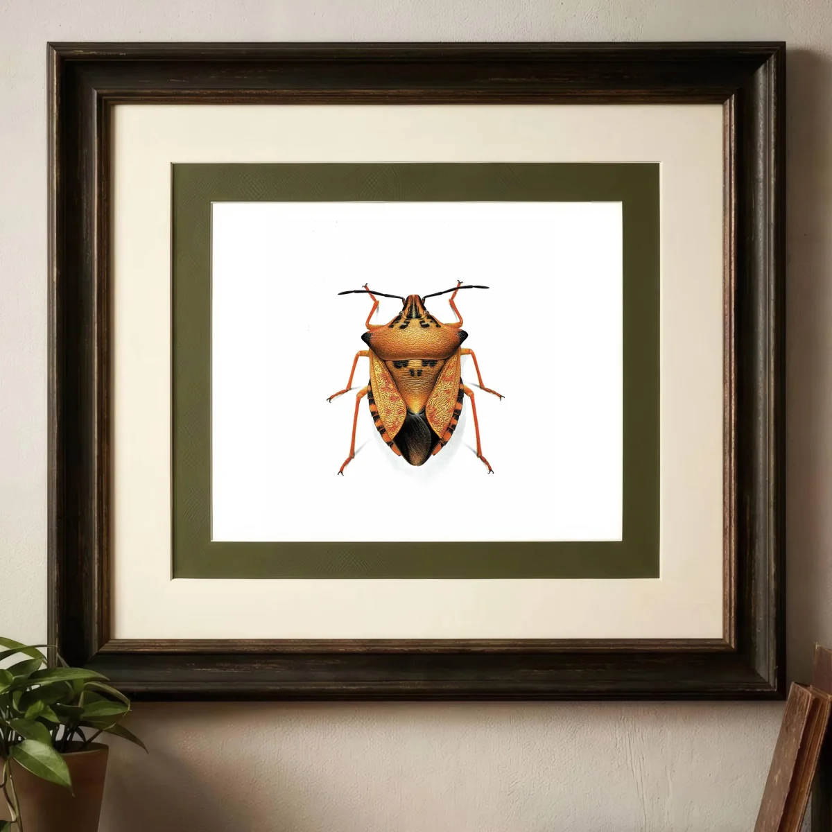 1986 Northern Fruit Bug Carpocoris Fuscispinus Print - Durin Bernard Insectes - Science Illustration Boheman Carl Entomology - 11 x 13 in