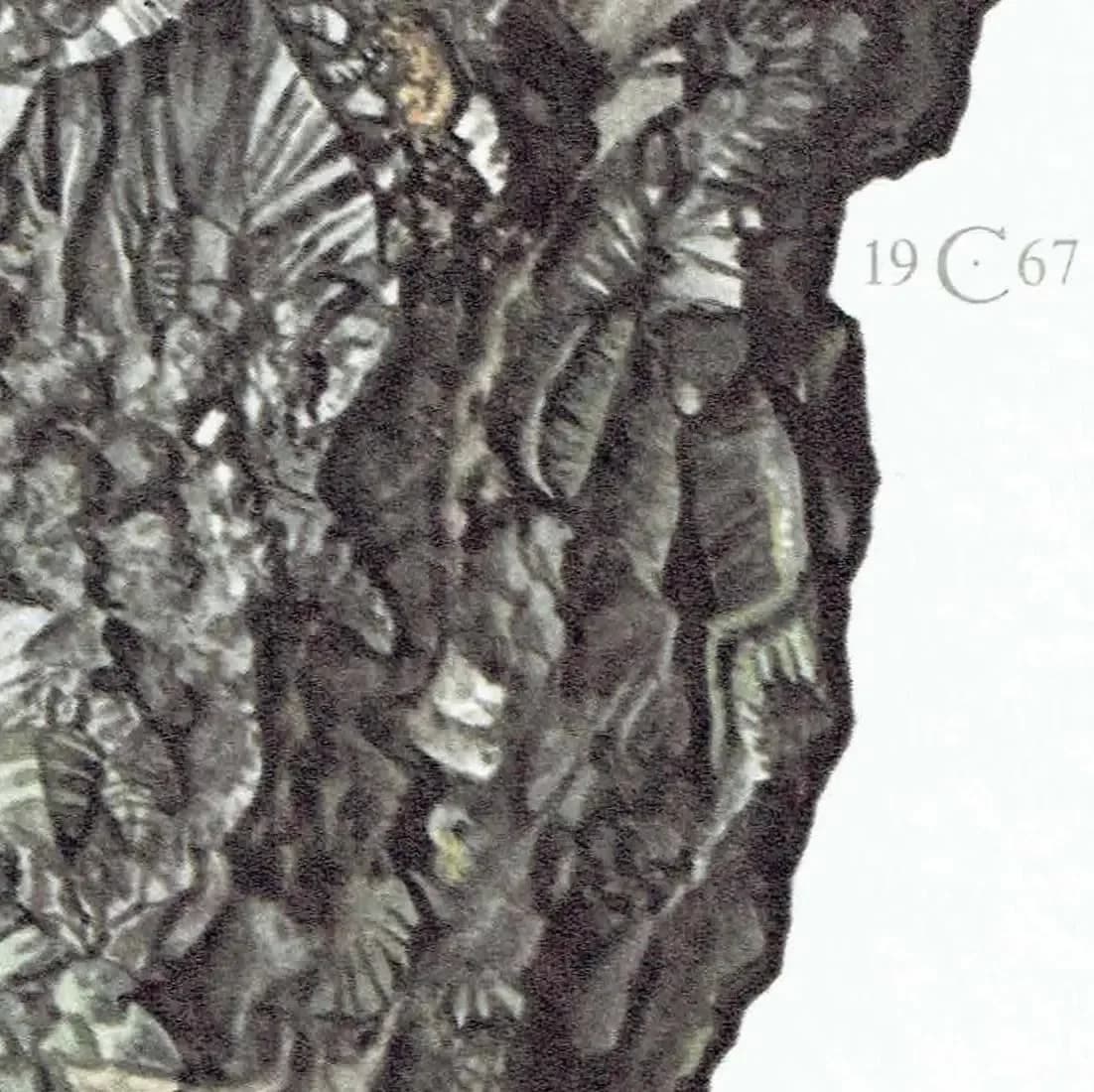 1969 Rockbridgeite Mineral - Original Vintage Print By Caspari - Scientific Natural History Geology Study Art - 7.5 x 10.5 in