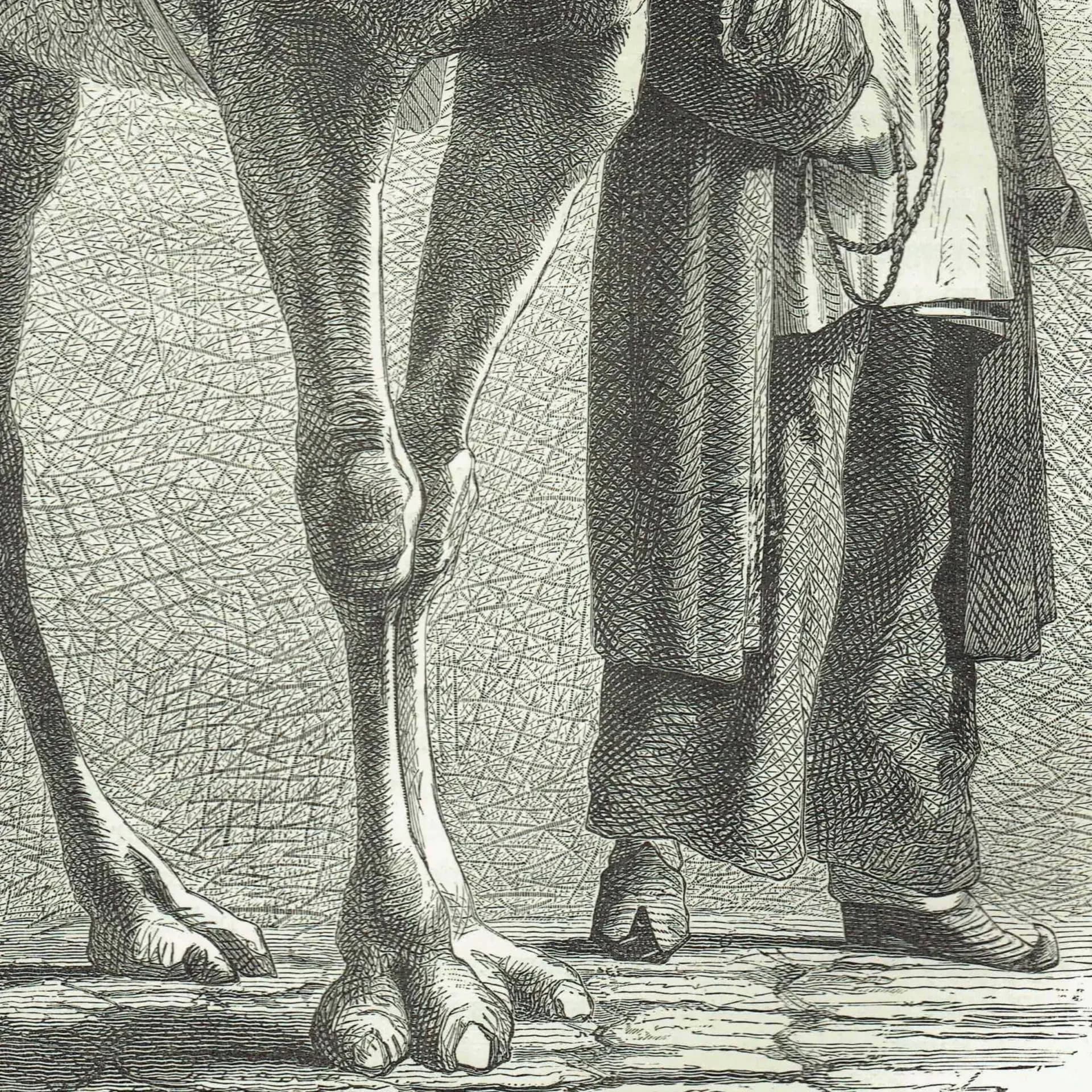 1871 Caucasus Funeral Procession Mourners & Camel - Antique Print By Bates - Illustrated Travels Victorian Ethnographic - 8 x 11...