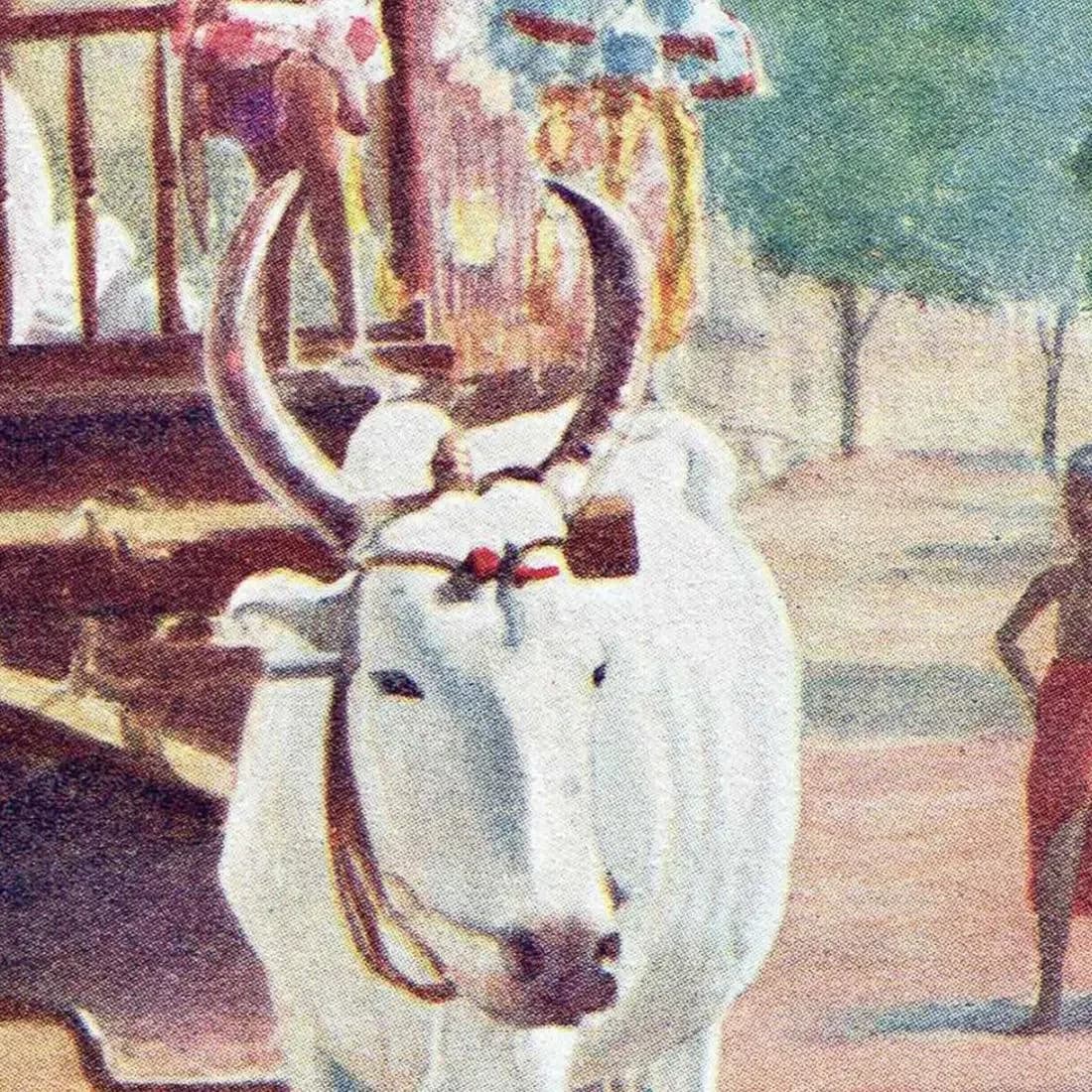7.5 x 10 in — “Wedding Cart” — Print — 1913 — Book Illustration
