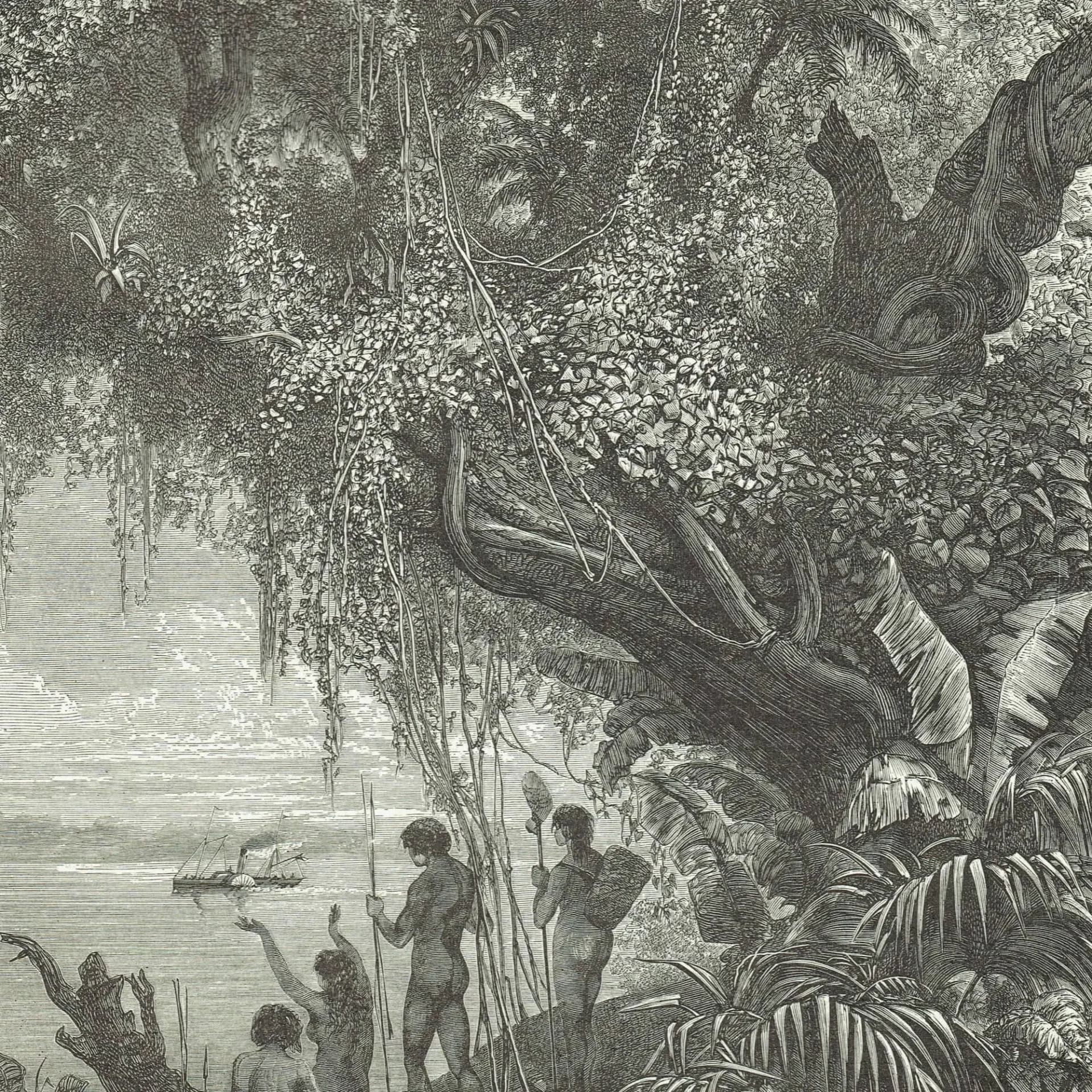 1870s Steamboat Orinoco River Woodblock Original Victorian Print - South American Exploration Print - Historical Travel - 8.5 x 12 in