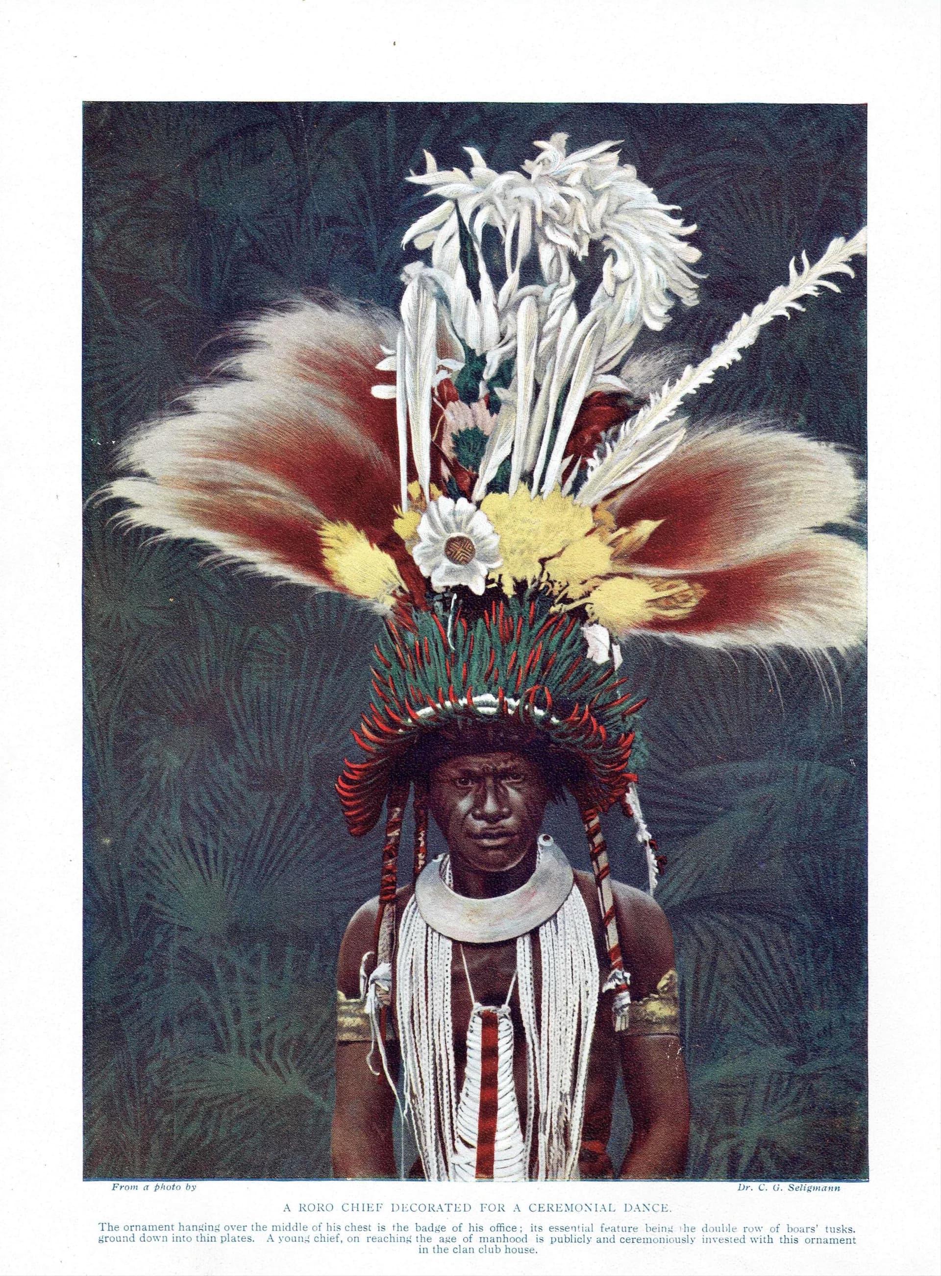 7.5 x 10 in — “Roro Chief Ceremonial Dress” — Print — 1913 — Book Illustration