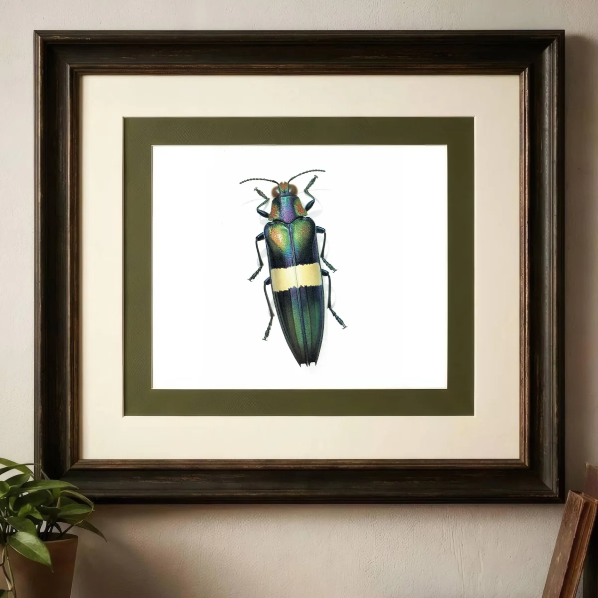 1986 Jewel Beetle Chrysochroa Ocellata Print - Durin Bernard Les Insectes Scientific Illustration - Fabricius Entomology - 11 x 13 in