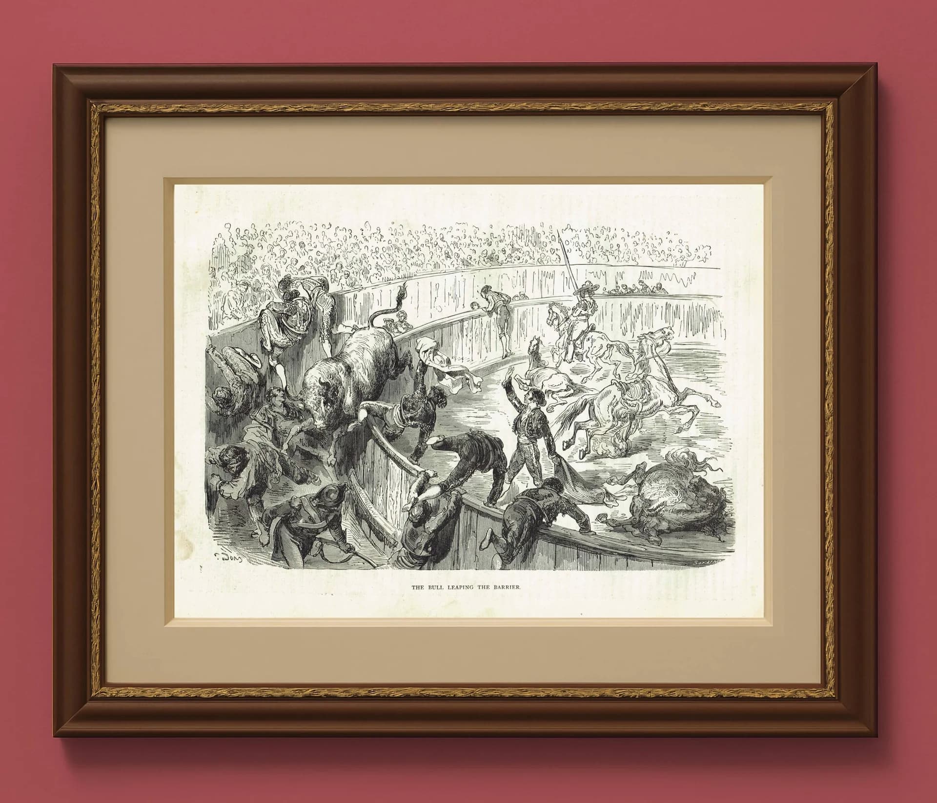1870s Bull Leaping Arena Original Woodblock Print - Victorian Bullfighting Scene - Antique Book Illustration - 12 x 8.5 in