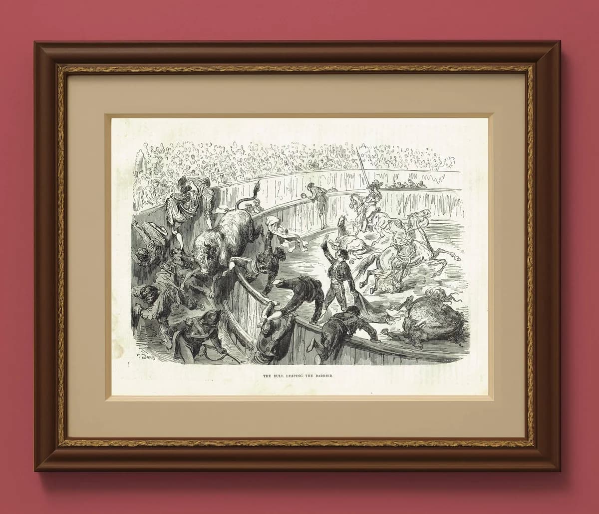 1870s Bull Leaping Arena Original Woodblock Print - Victorian Bullfighting Scene - Antique Book Illustration - 12 x 8.5 in