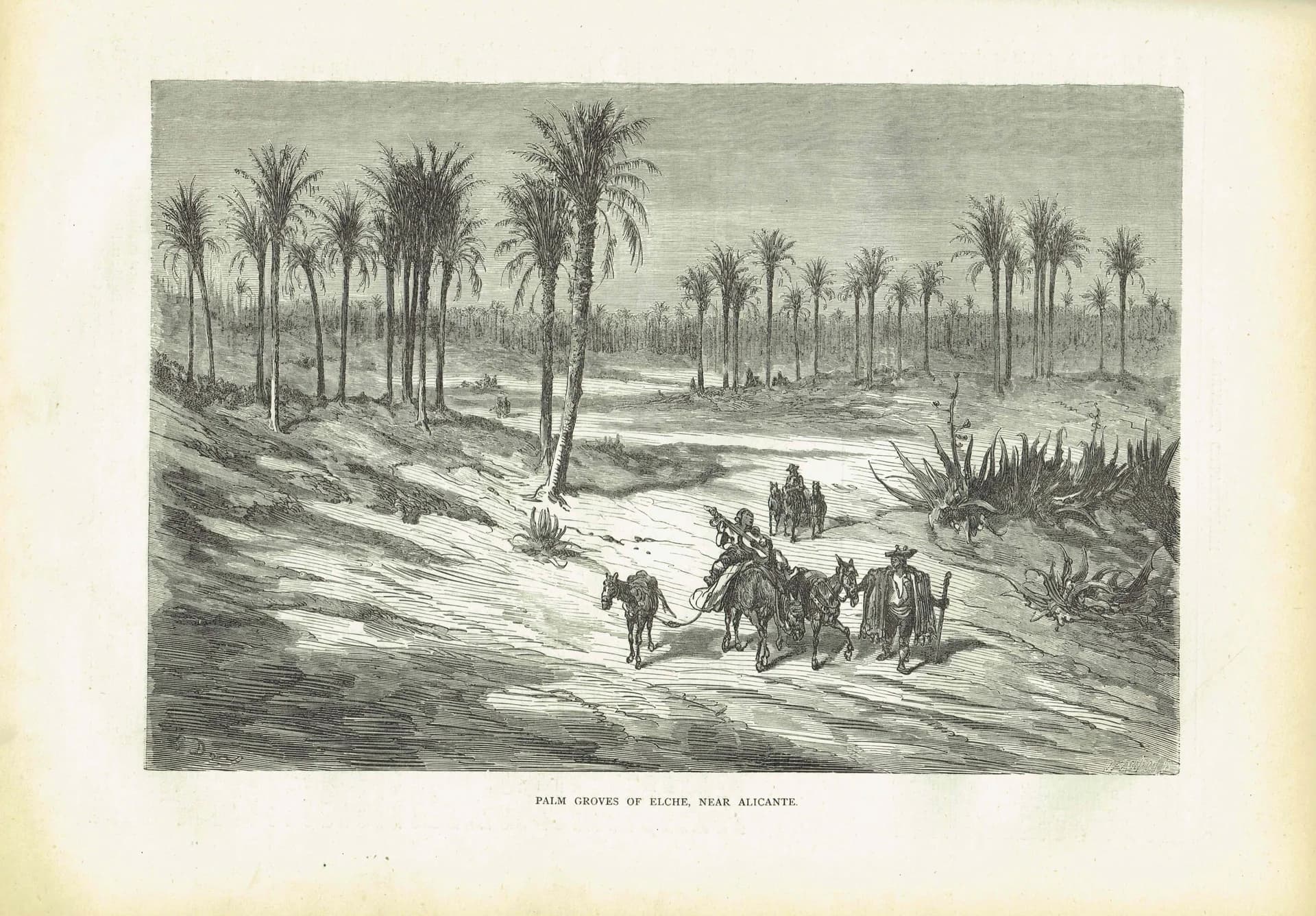 1870s Original Detailed Spanish Palm Grove Landscape Woodblock Print - Victorian Travel Book Drawing - Antique Alicante Scene - 12 x 8.5 in