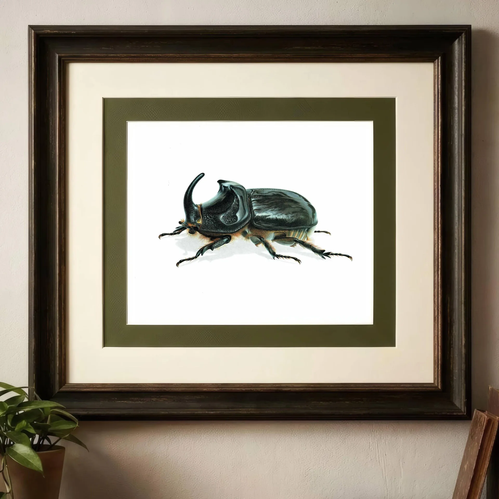 1986 European Rhinoceros Beetle Oryctes Nasicornis Print - Durin Bernard Les Insectes Scientific Illustration - Entomology - 11 x 13 in