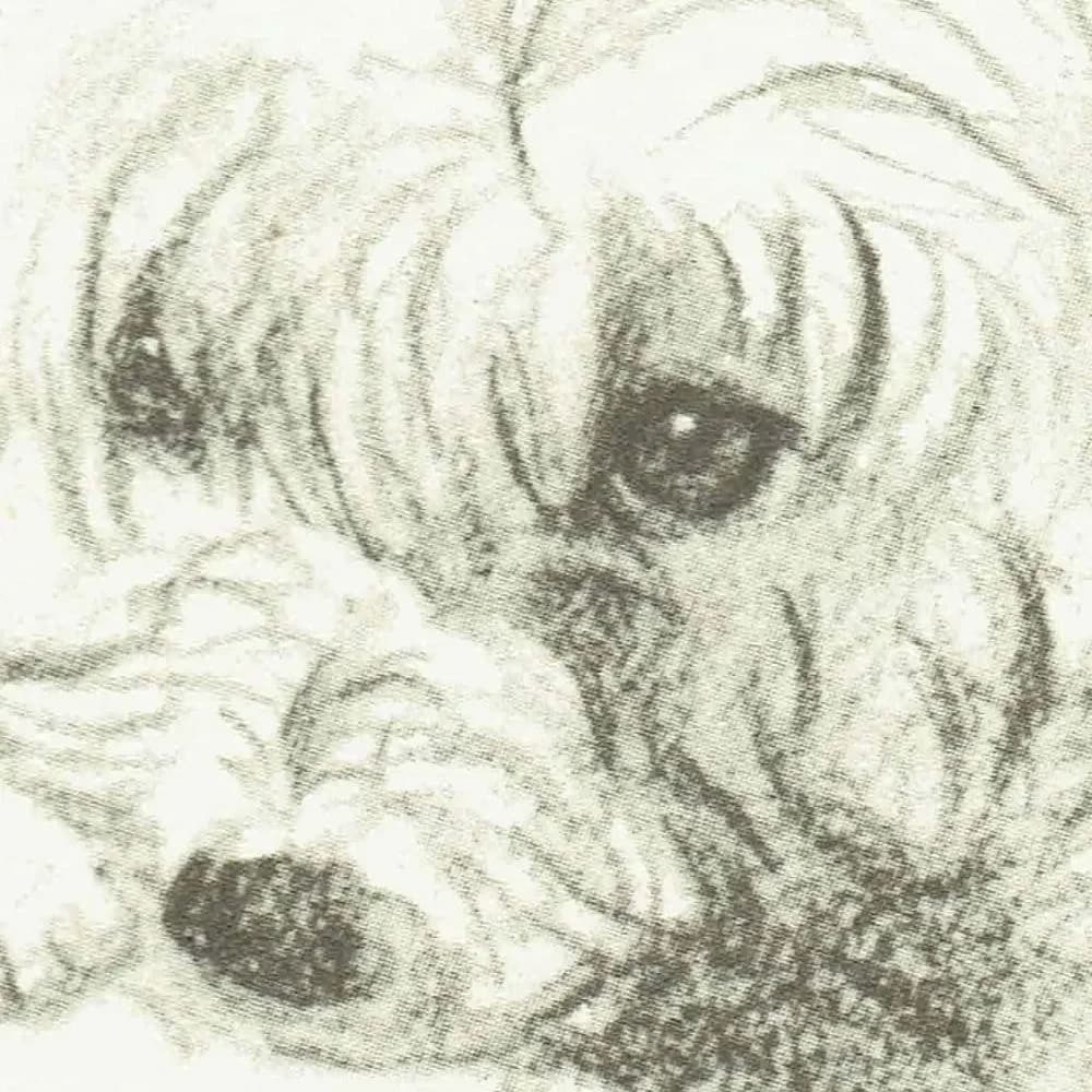 1946 Terrier Dog Portrait - Original Vintage Print By Dawson - Neighbours Pet Illustration Animal Art - 7 x 9.5 in