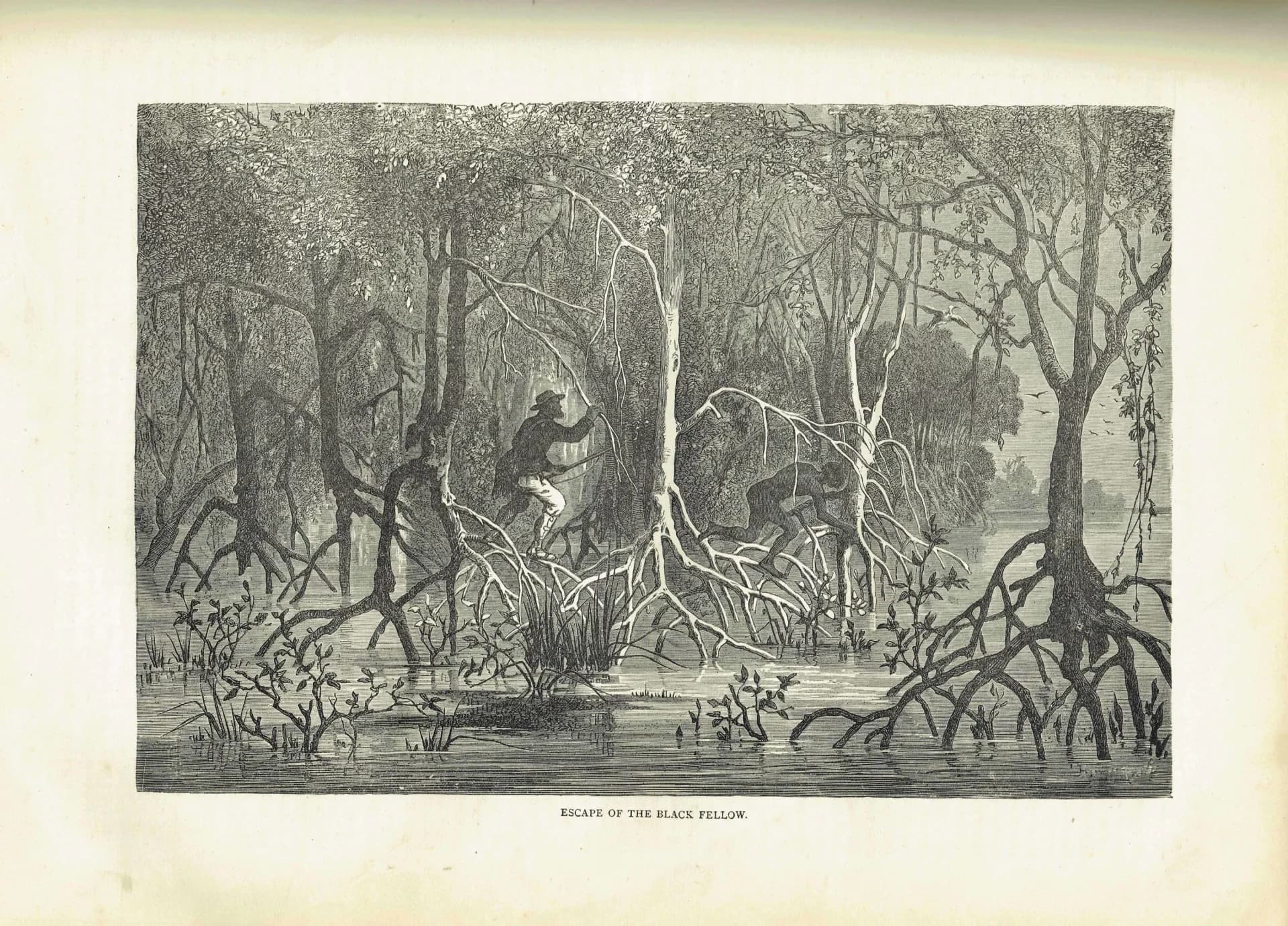 1875 Swamp Chase Scene - Antique Engraving By Bates - Illustrated Travels Vol 6 Victorian Mangrove Swamp Scene - 11.5 x 8 in