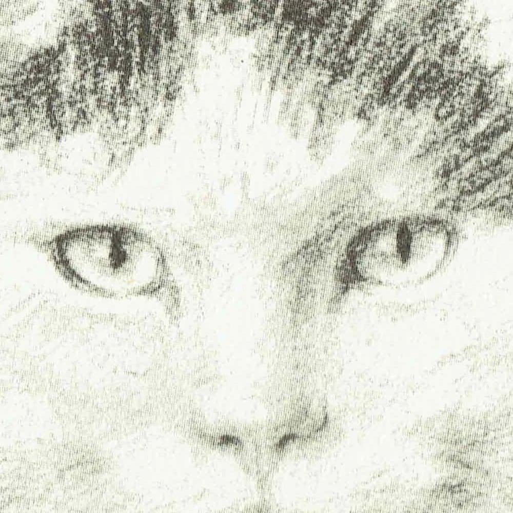 1946 Fluffy Cat Portrait 'Pudsy' - Original Vintage Print By Dawson - Pet Animal Study Neighbours Book Illustration - 7 x 9.5 in