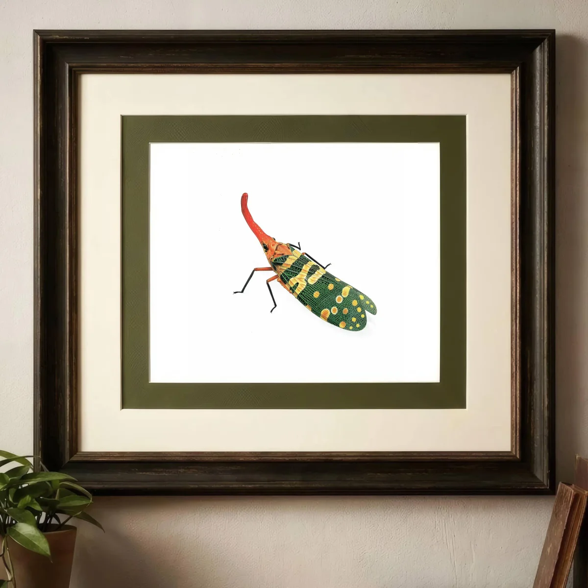 1986 Litchi Lantern Bug Fulgora Laternaria Candelaria Print - Durin Bernard Science illustration - Linnaeus Entomology - 11 x 13 in