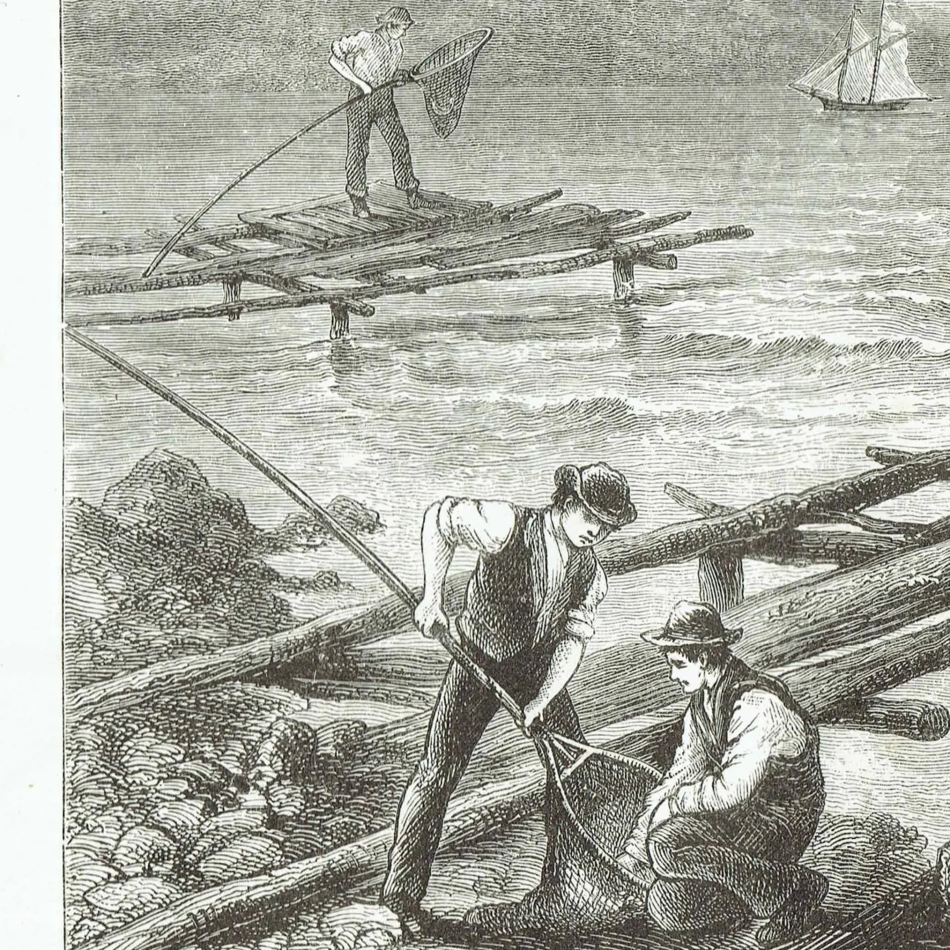 1885 Shad Fishing - Antique Print By Marquis of Lorne - Canadian Fishermen Coastal Scene Historical Engraving - 10 x 7 in