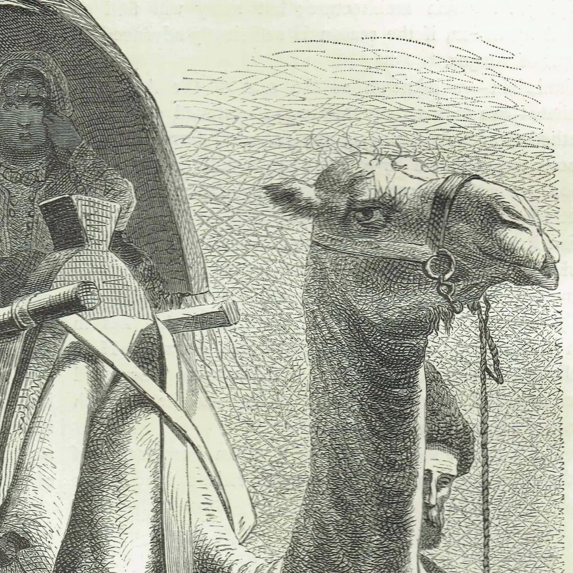 1871 Caucasus Funeral Procession Mourners & Camel - Antique Print By Bates - Illustrated Travels Victorian Ethnographic - 8 x 11...