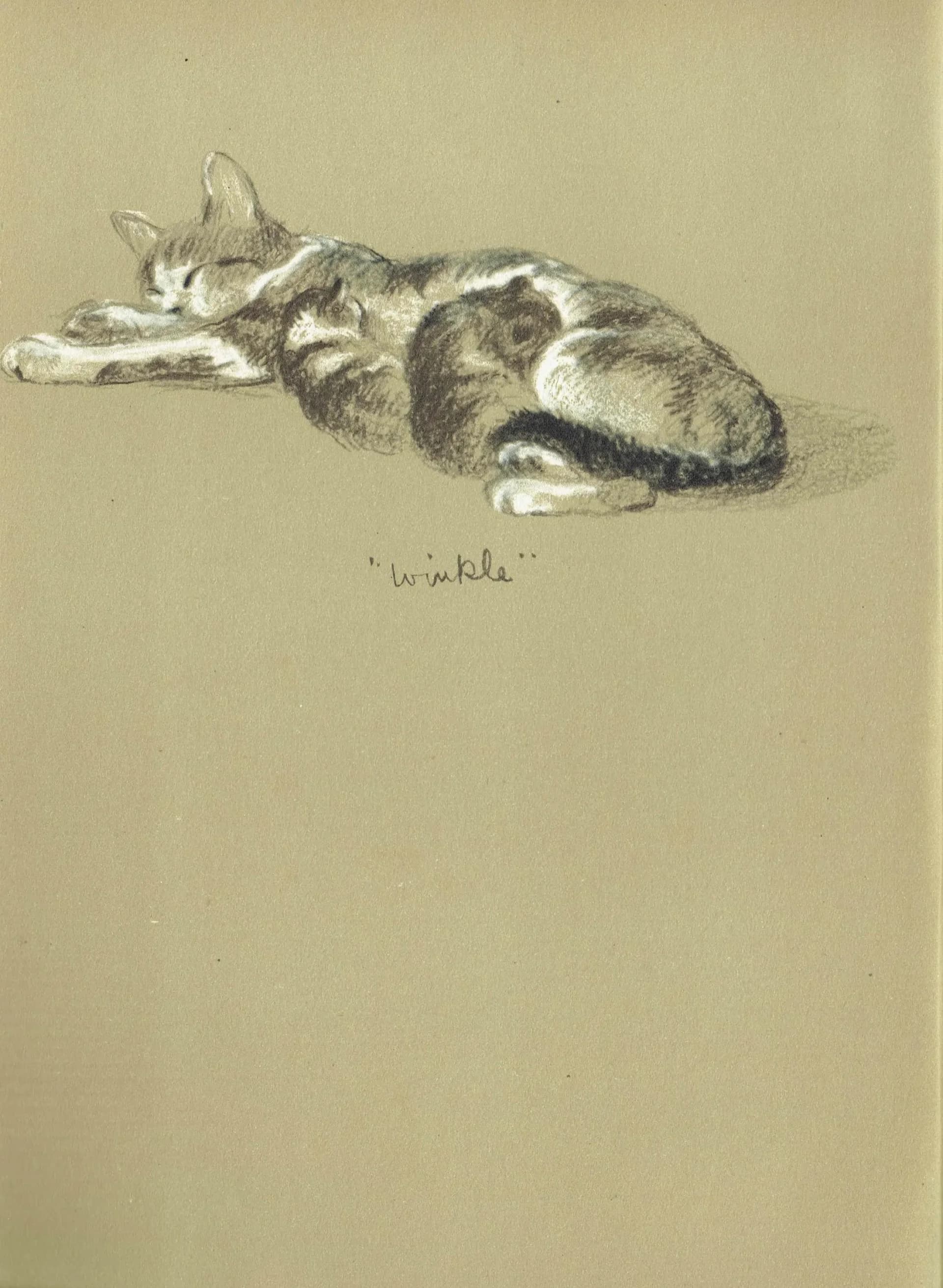 1946 Sleeping Cat "Winkle" - Original Vintage Print - Lucy Dawson Neighbours Pet Portrait Animal Art - 7 x 9.5 in