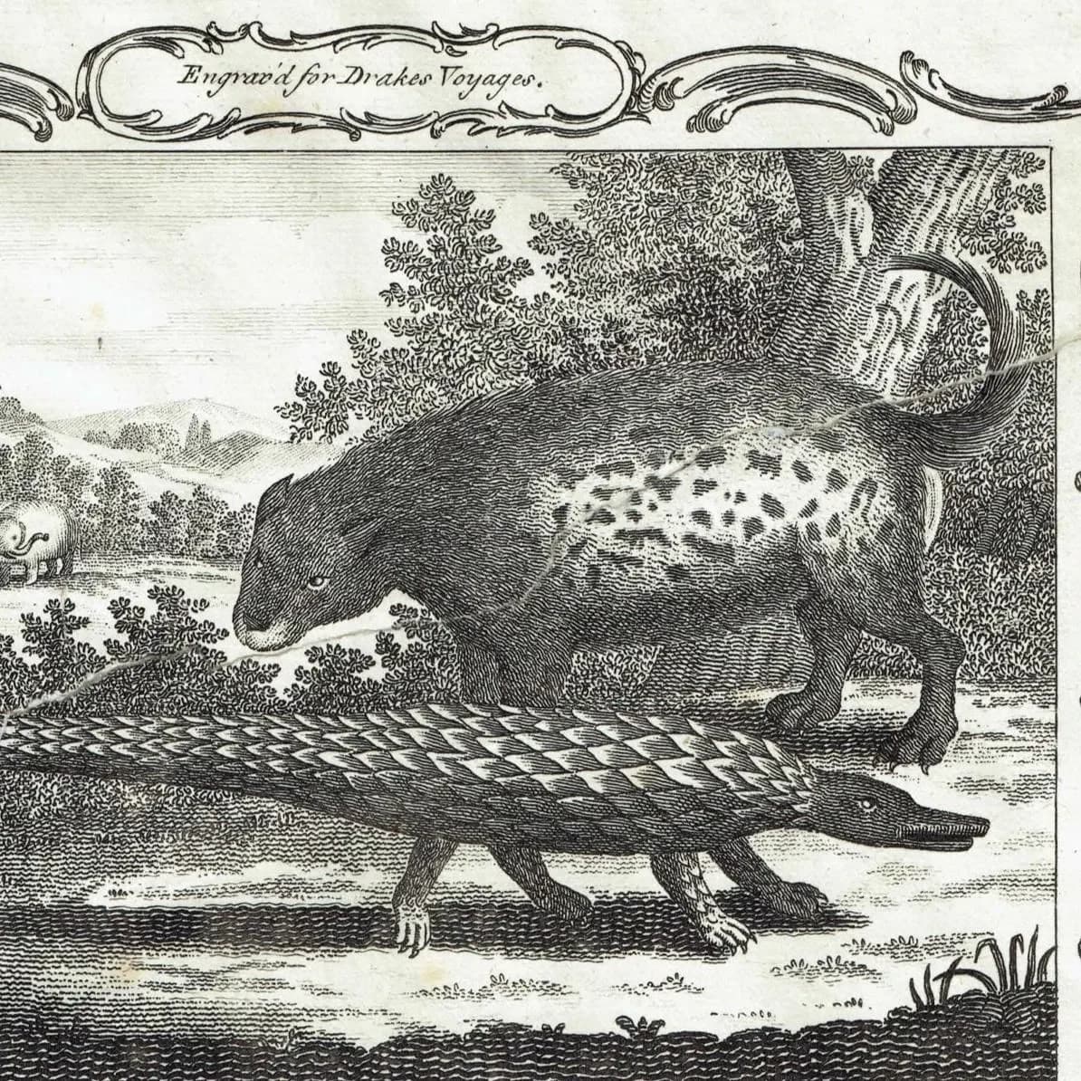 c.1790 Porcupine & Strange Animal called Quoggelo - Execution of Criminals - Guinea 11.75 x 8.25