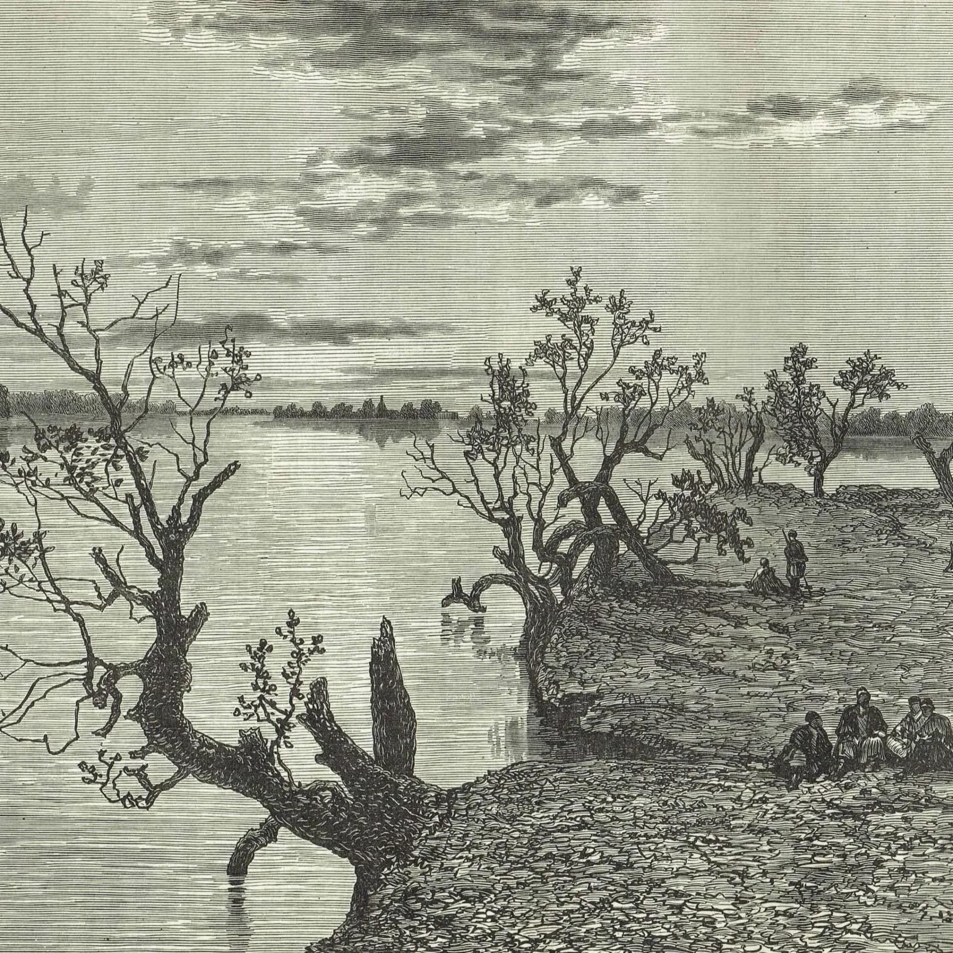 1870s Original Tropical River Gash Landscape - Victorian Travel Book Original Woodblock Print - Nature Print - 12 x 8.5 in