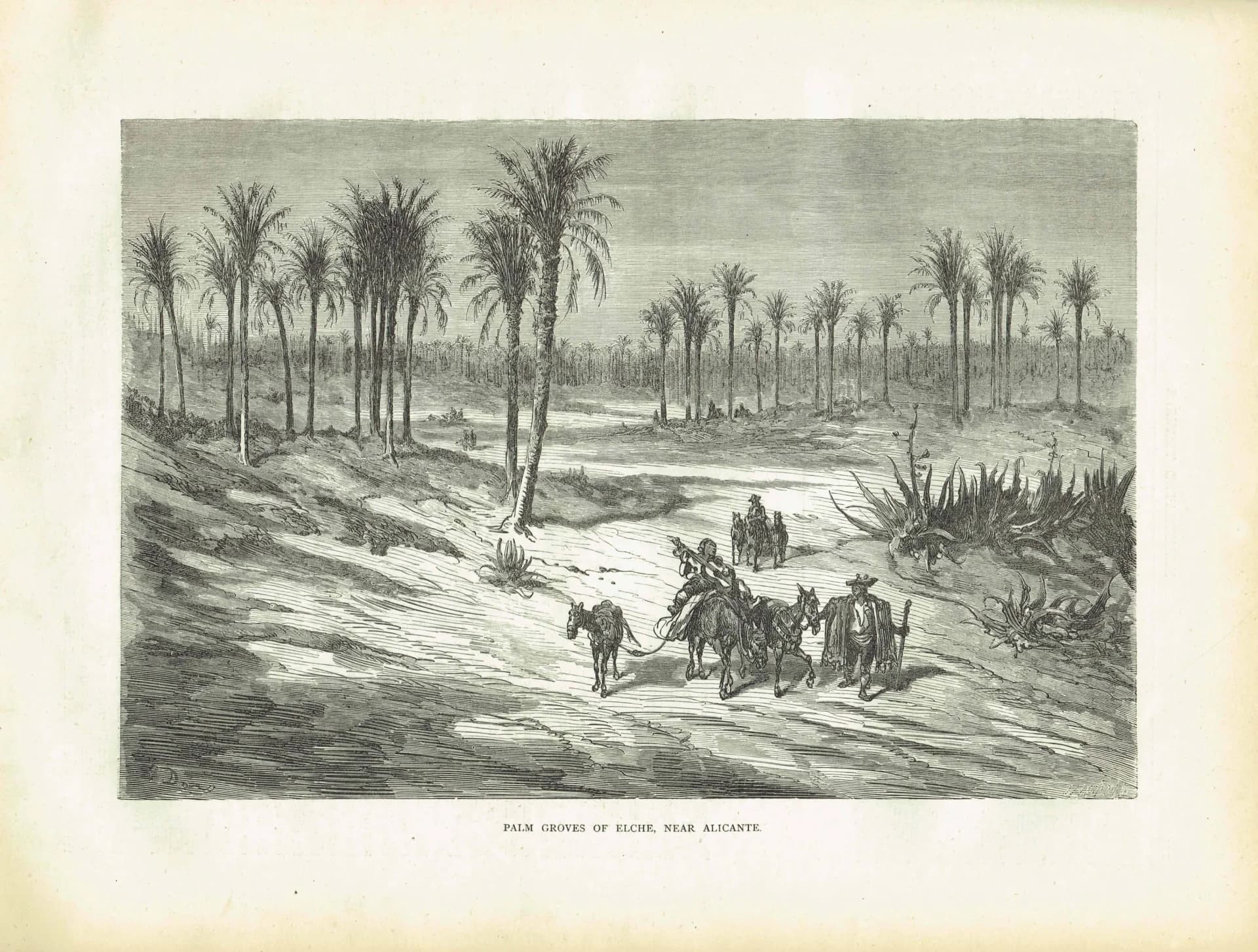 1869 Palm Groves of Elche Near Alicante - Original Antique Print - Spanish Landscape Victorian Travel Geography - 11.75 x 8.75 in
